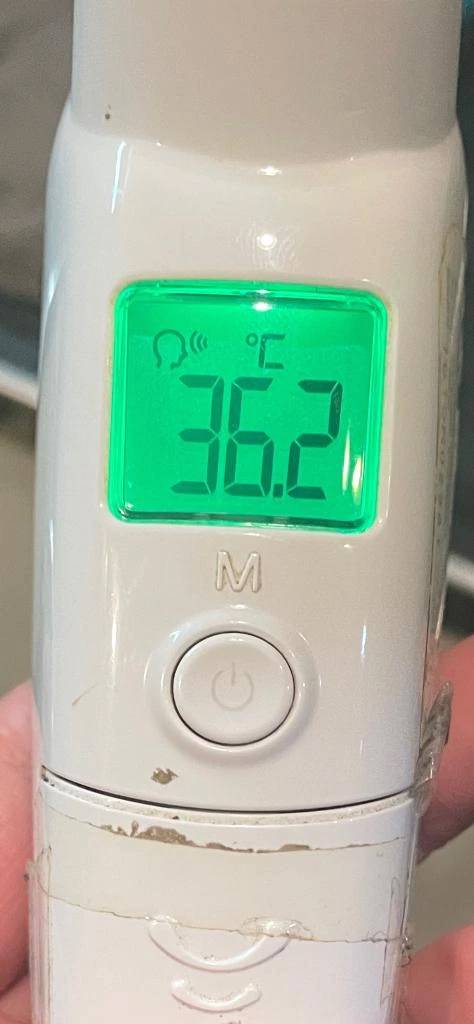 今日の体温...｡