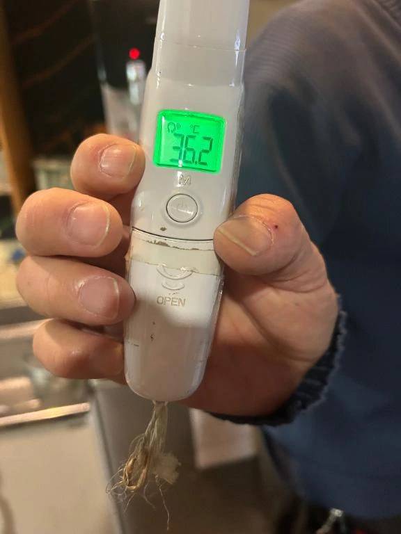 出勤しました🐰