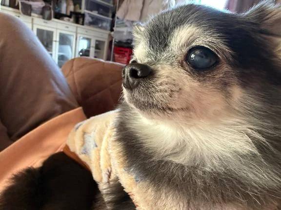 ✳︎お題①✳︎