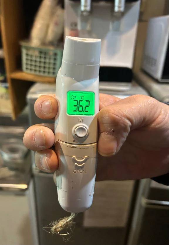 出勤しました🐰