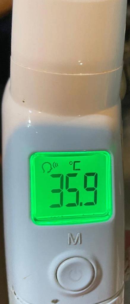 今日の体温...｡