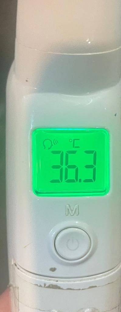 今日の体温...｡