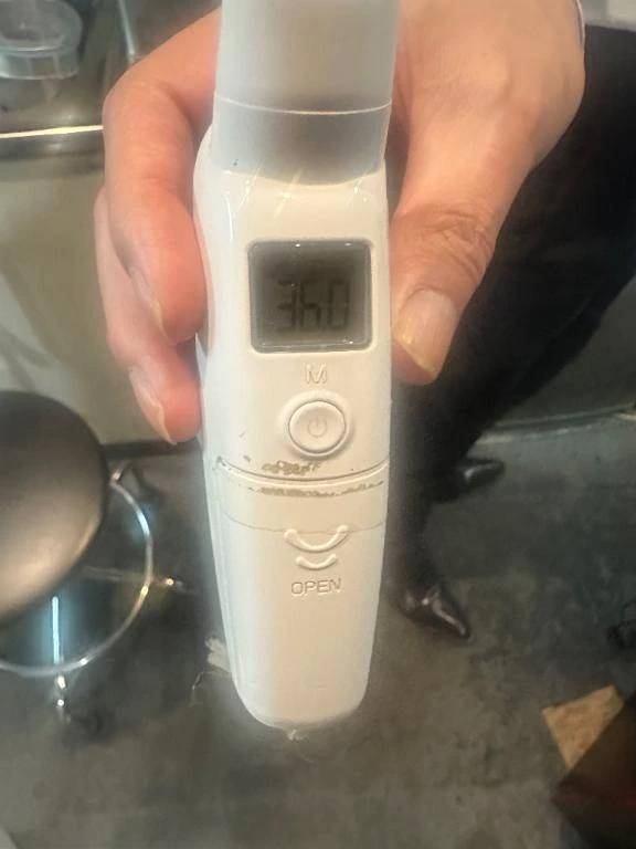 出勤しました🦖🐾