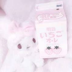 今日は料理番組の日!! 得意な料理は何ですか??