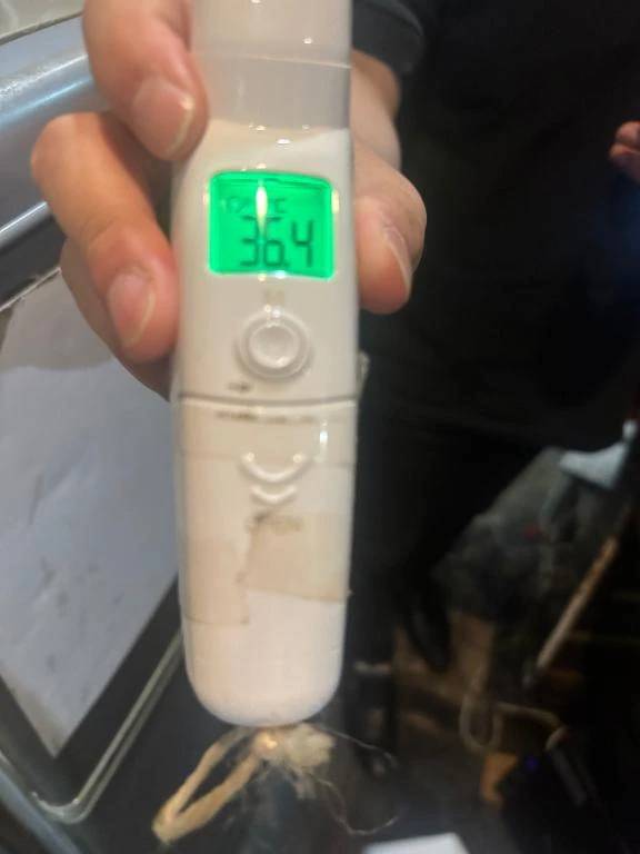 出勤しました(*^^*)