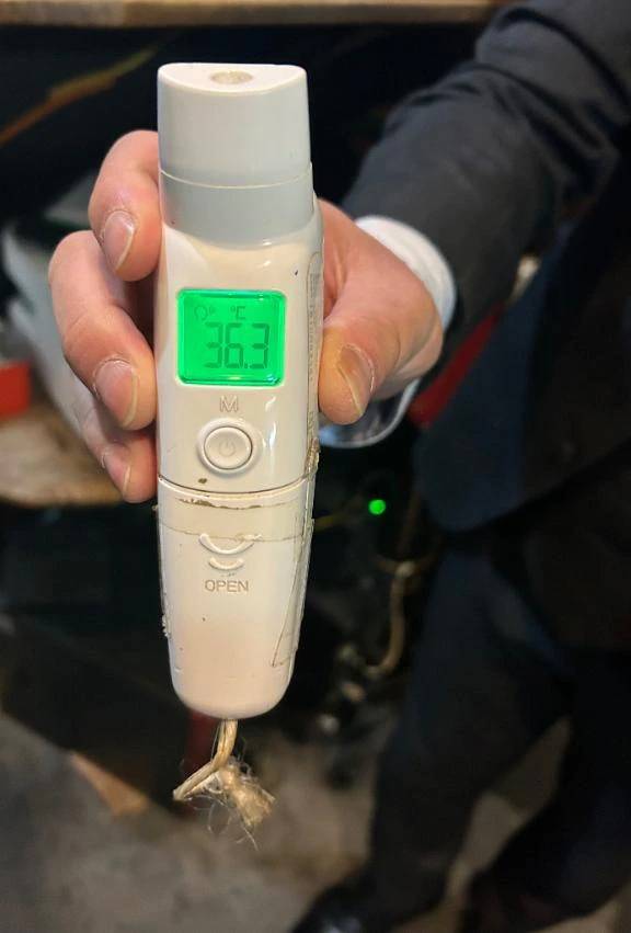 出勤しました🐰