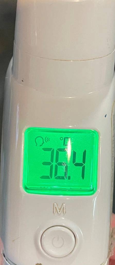 今日の体温...｡