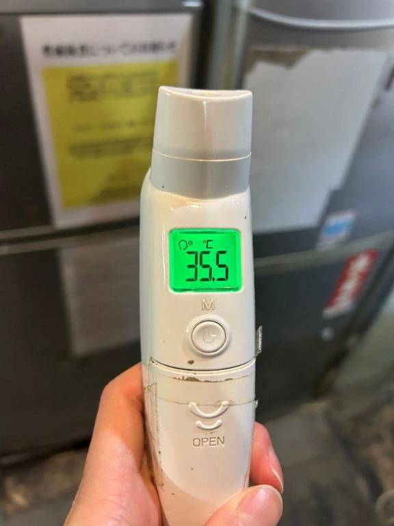 出勤しました🐰