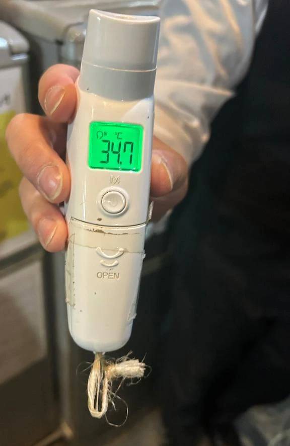 出勤しました🐰