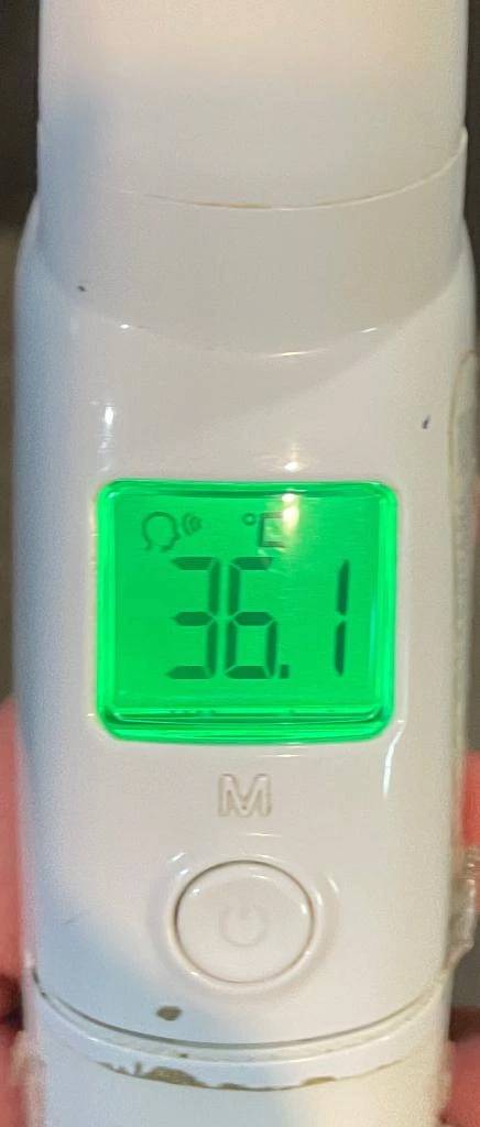 今日の体温...｡