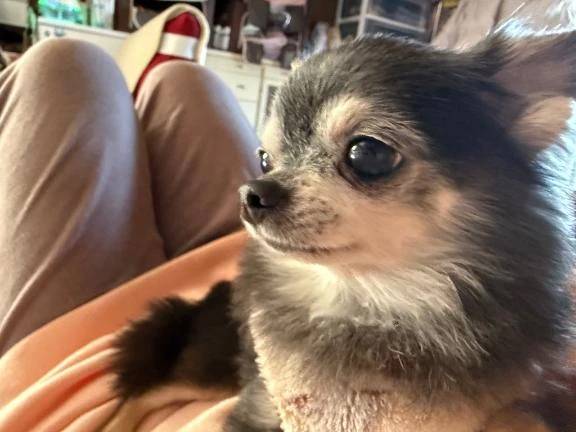 ✴︎お題②✴︎