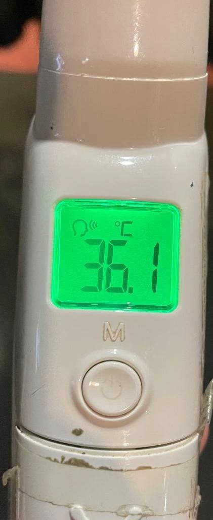 今日の体温...｡