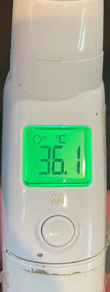 今日の体温...｡