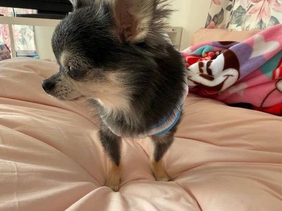 お疲れ様でした❣️