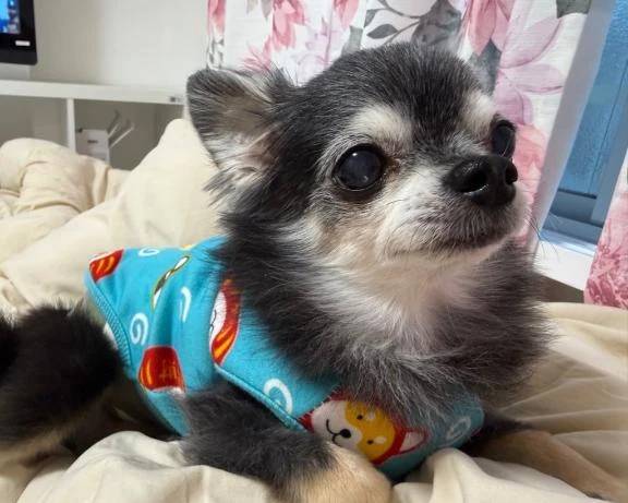 ✴︎お題①✴︎