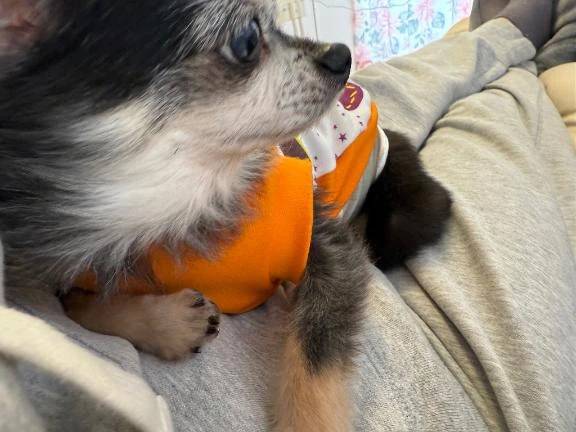 ✴︎お題②✴︎