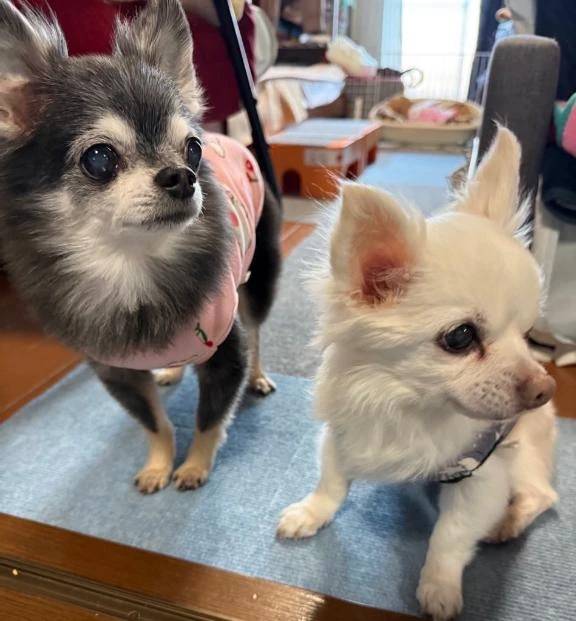 ✴︎お題②✴︎