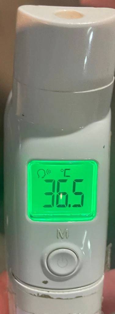 今日の体温...｡