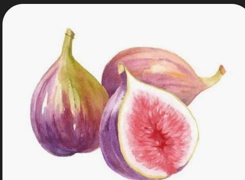 そら【美女不思議姫】