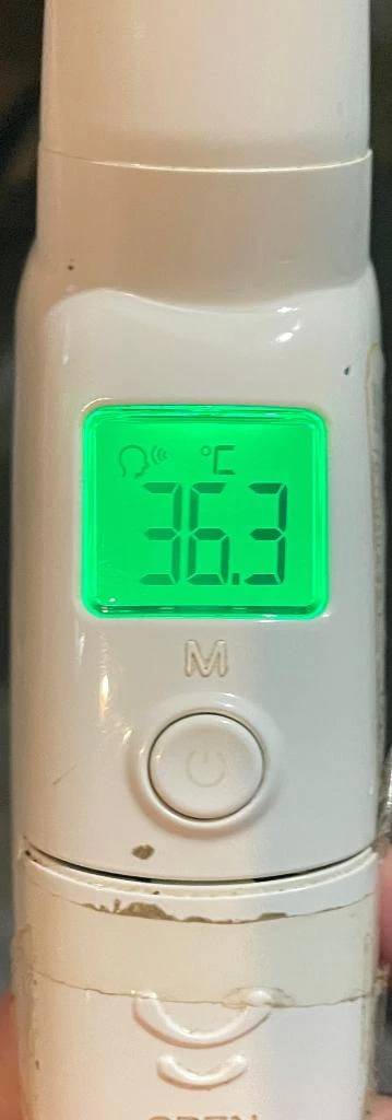 今日の体温...｡