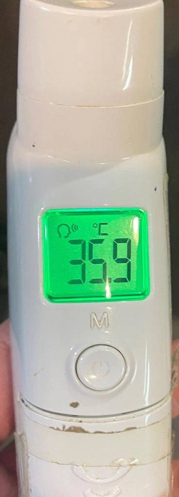 今日の体温...｡