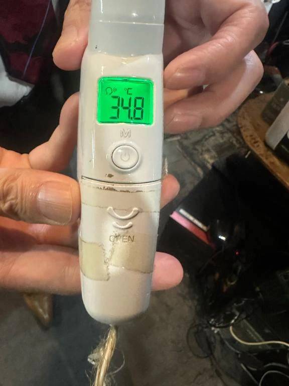 出勤しました✨️