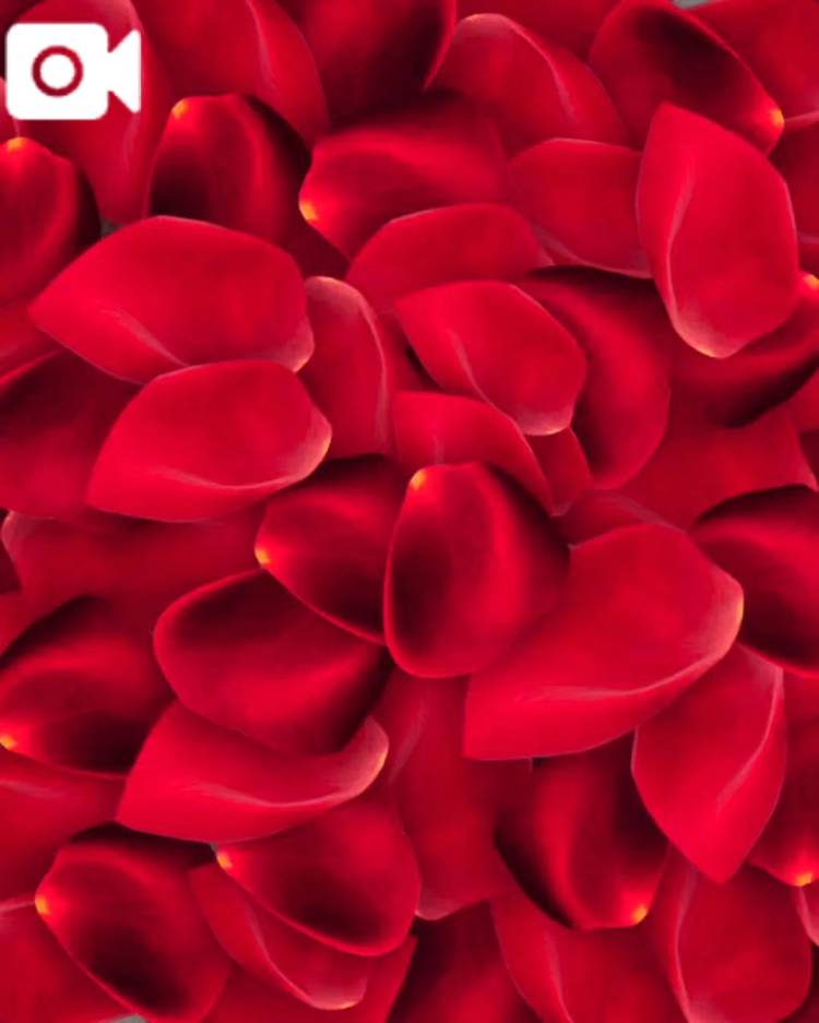 ななせ【伝説人気姫奇跡の復帰】