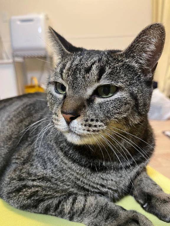 今日の22時からのお客様！