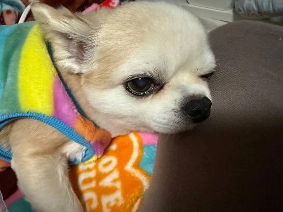 好きな季節は？