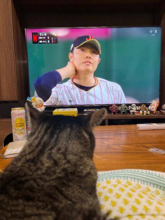 ごめんなさい。