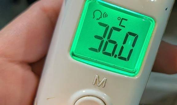 今週も出勤しました！