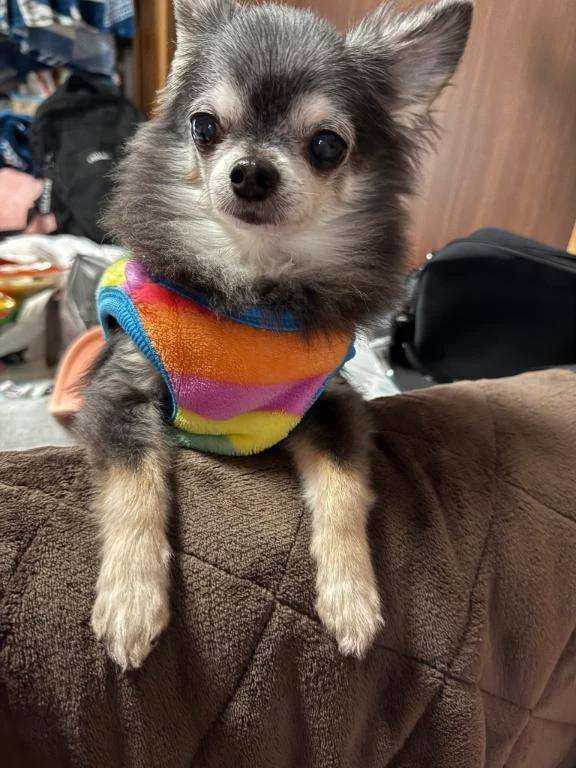 明日はお休み💕