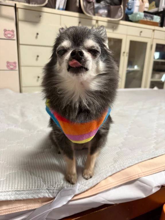 日曜日までの出勤!