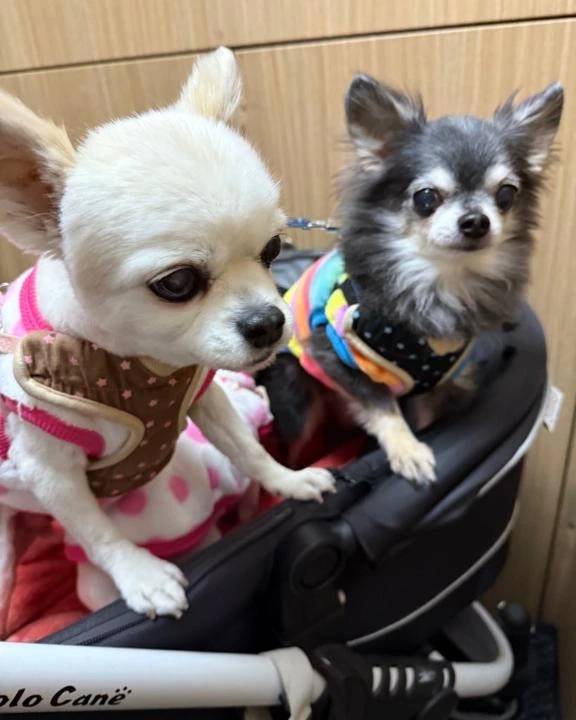 お疲れ様でした！