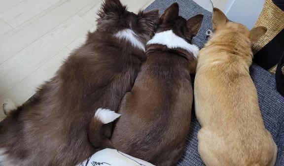 ☆今日のお題②☆