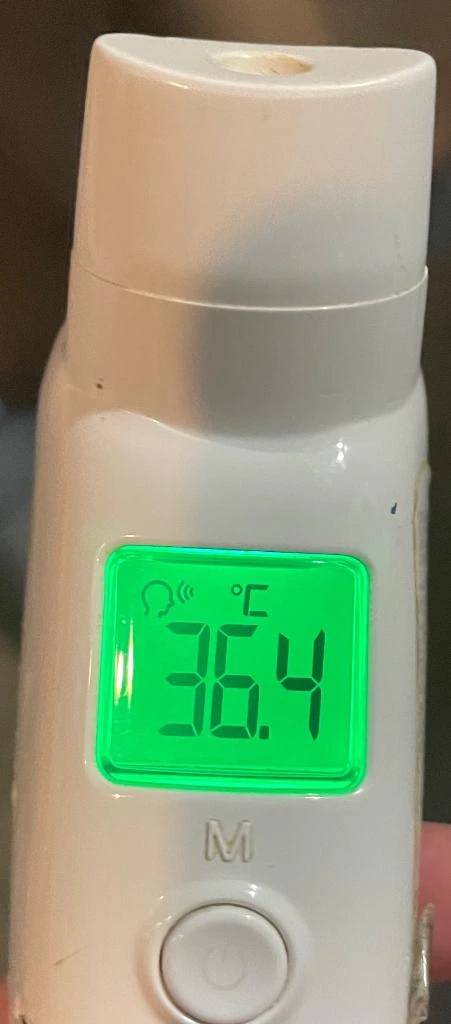 今日の体温...｡