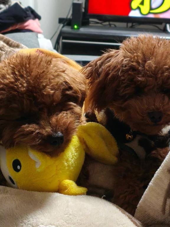 おはようございます😊