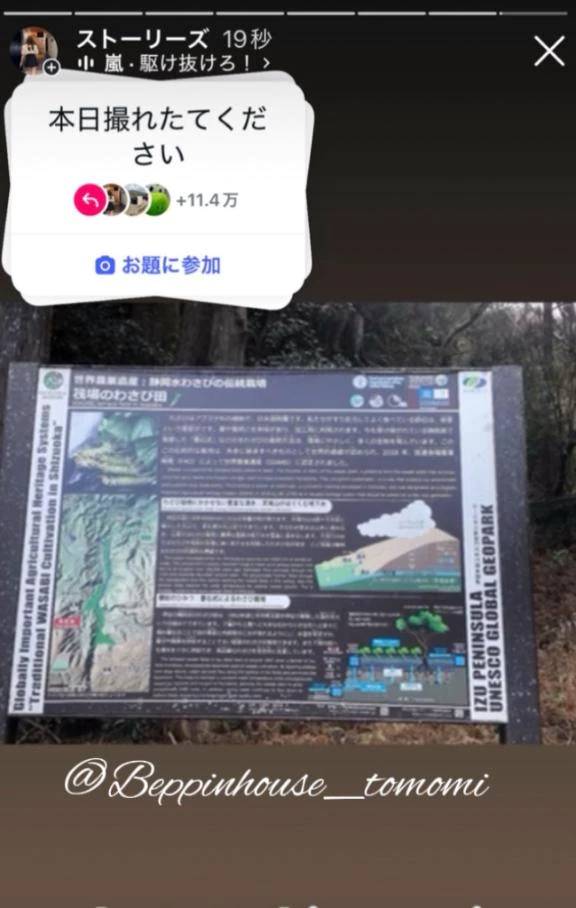 直感的に物事を決めている??それとも論理的に??