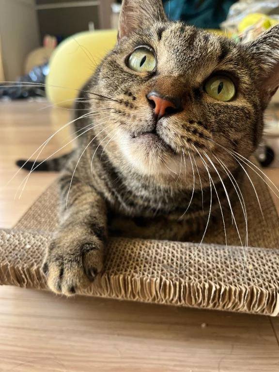 最後の出勤です⸜(*˙꒳˙*)⸝