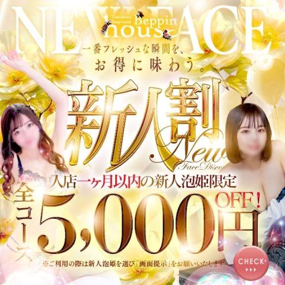 🎈新人です！🎈