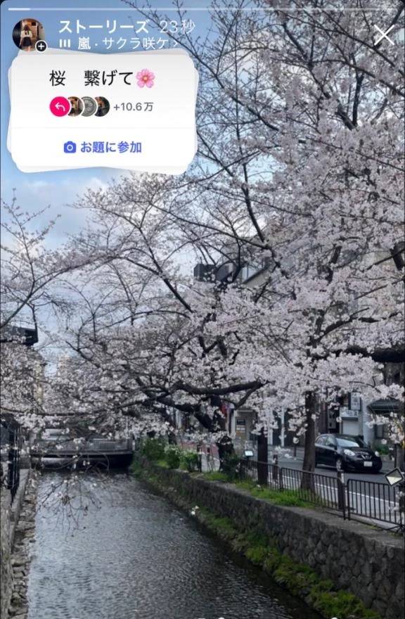 あんパンの日！！ こしあん、つぶあん、白あん、好きなのは？？