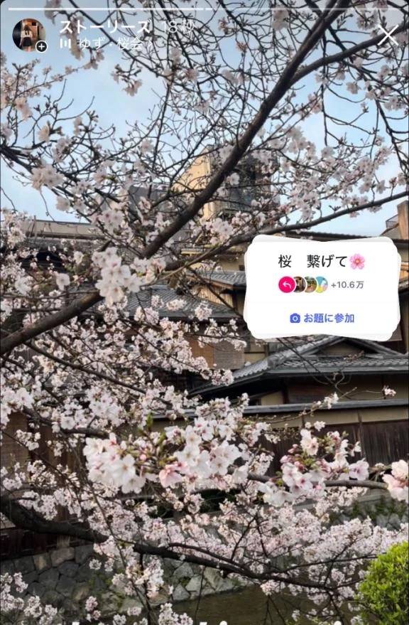 四輪駆動の日！！ 乗ってみたい車の車種は？？