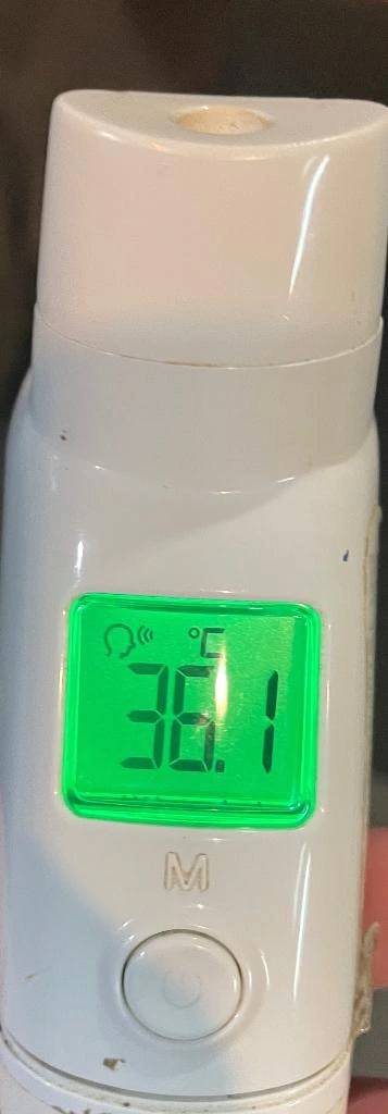 今日の体温🤒