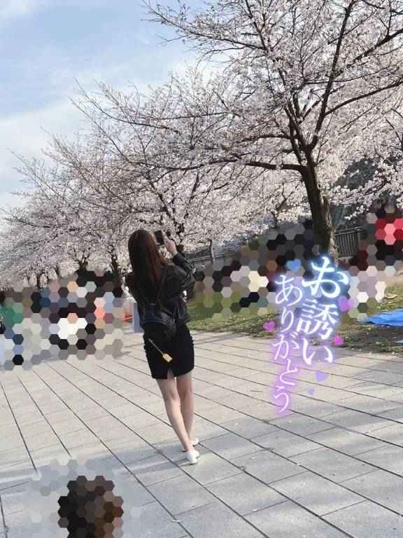 桜からの後ろ姿🌸