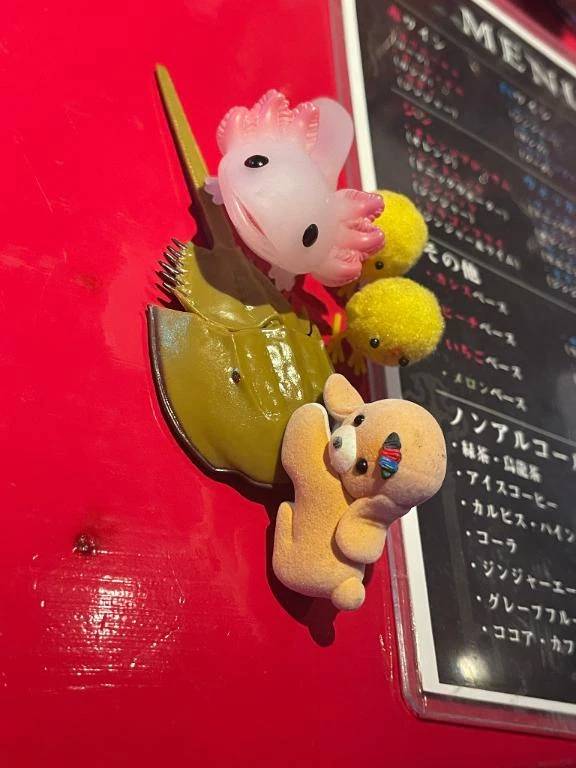 75分のお兄様へ