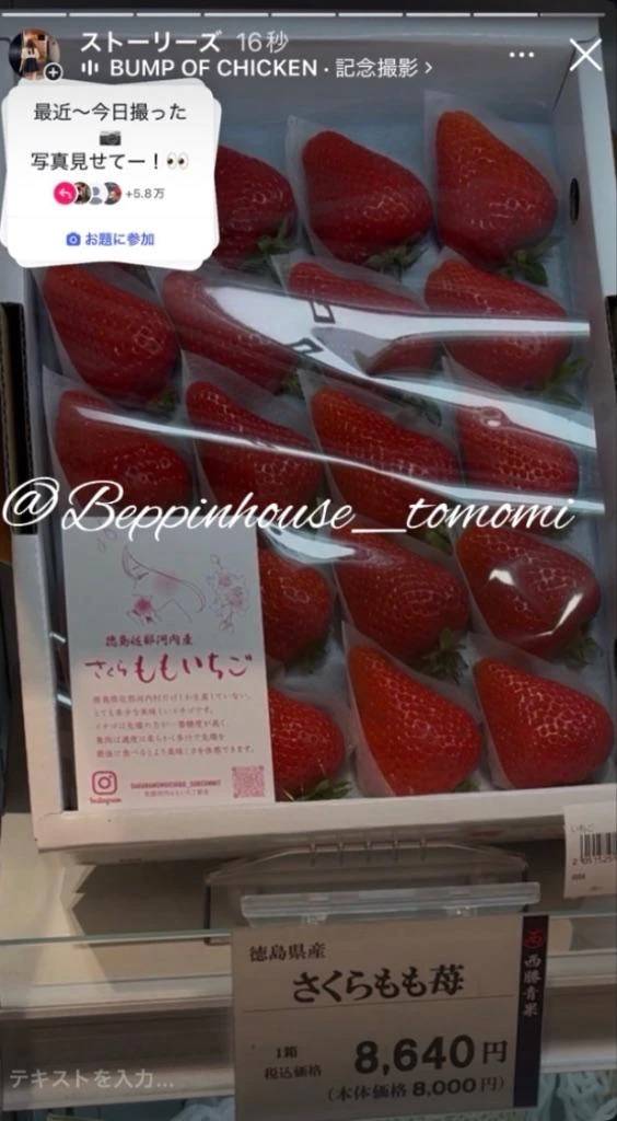 塩むすびの日!! 好きなおむすびの具は??