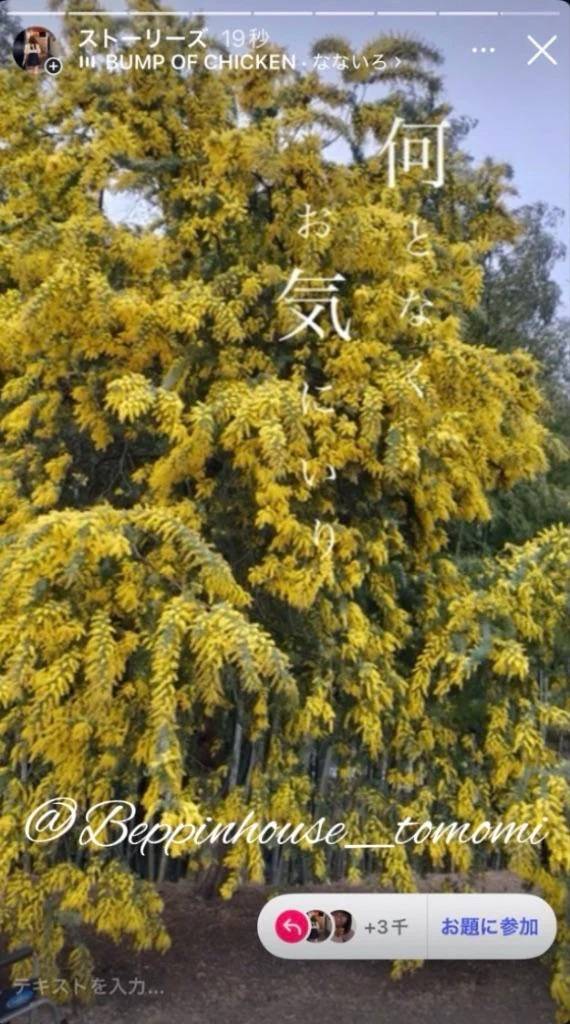 春巻きの日！！ 春巻き、ギョウザ、シュウマイで好きなのは？？