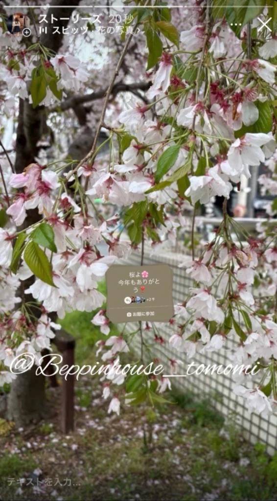 今日は炭酸水の日!! 炭酸水は好きですか??