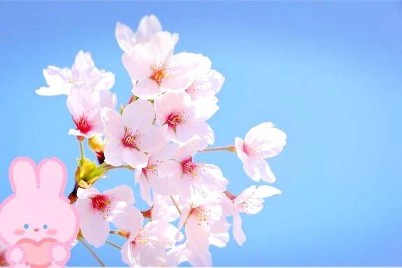 直近の善行✨🧸