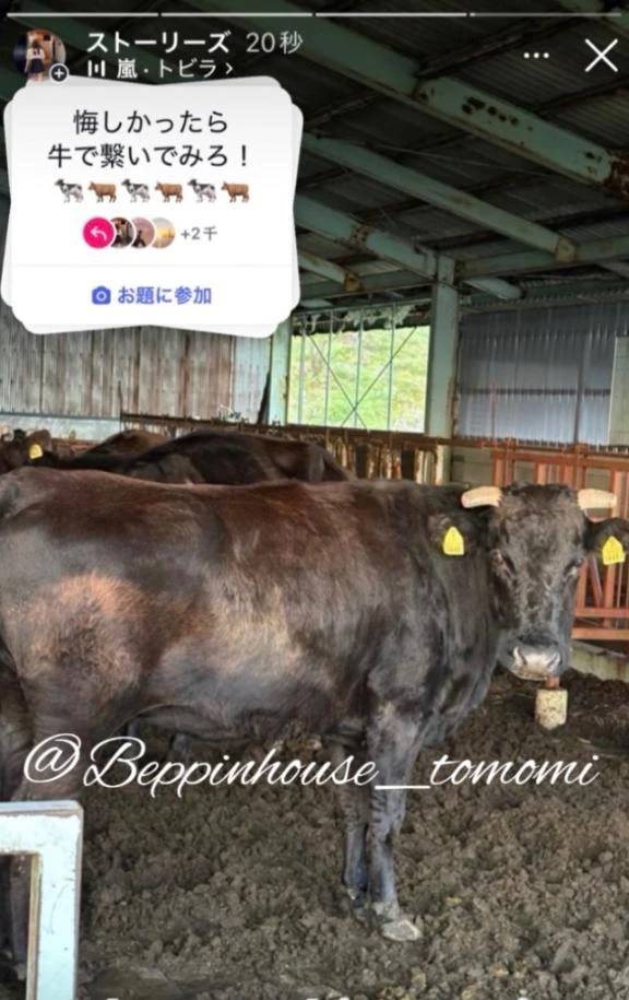 人参の日！！ 好きな野菜は？？